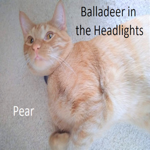 Come, Josephine, in My Flying Machine