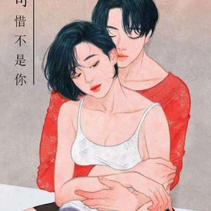 可惜不是你 · Hommage