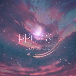 BØRNS-PROMISE（堂吉诃德BAMF remix）