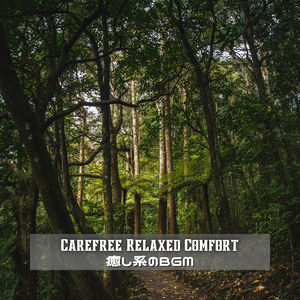 Renaissance of the Soul