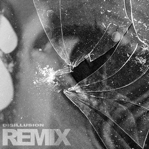 Disillusion (Palivan Remix)