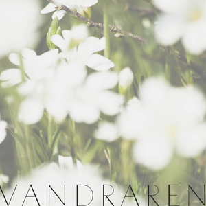 Solförmörkelse och begravningståg