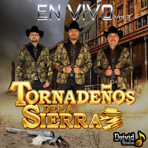 Demasiado Tarde (En Vivo)