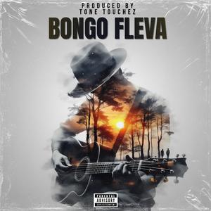 Bongo Fleva x Afrobeat x Guitered Typebeat_NTAKUPENDA_2026