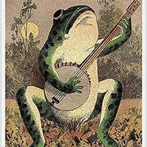 WHAt is that F****ng zebra