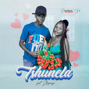 Tshunela (feat. Stagonya)