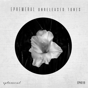 1000 Watts (Revisit Rework)