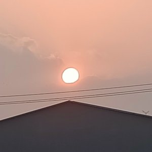迟来的身份