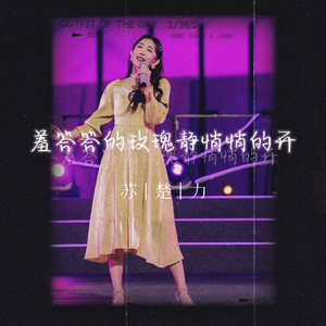 羞答答的玫瑰静悄悄地开（拉丁版）