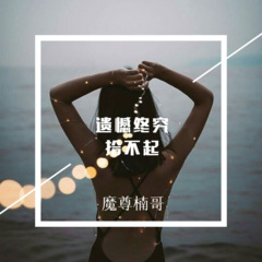 遗憾终究拾不起 (弹鼓版)