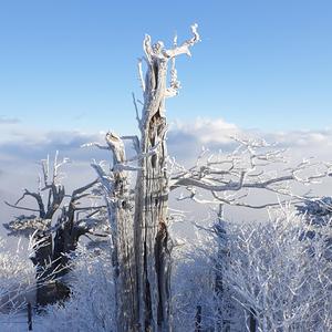 Hangga’t May Hininga, May Pag-asa (숨쉬는 한 희망은 있다)필리핀