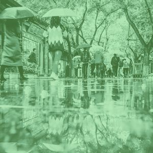 温和放松的梦想