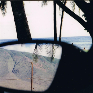 Snatched From The Jaws Of Paradise