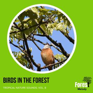 Massive Rattle Snake