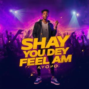 Shay You Dey Feel Am