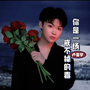 你是一场戒不掉的毒(DJ版)