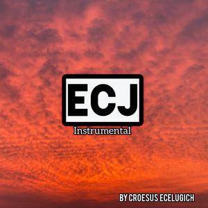 ECJ