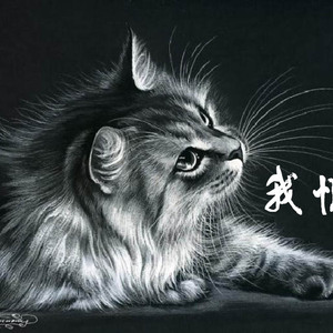 我恨猫（伴奏）