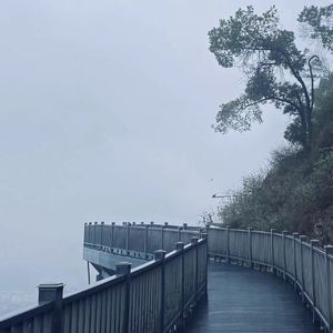 ‘die or live’stringvibe梦核