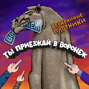 Ты приезжай в Воронеж !