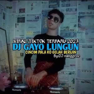 DJ GAYO LUNGUN CINCIM PALA KO GELAH BERIJIN - (INS)