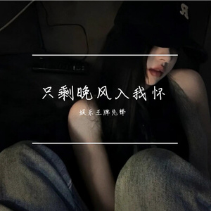 只剩晚风入我怀 伴奏