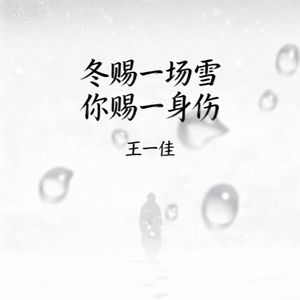 冬赐一场雪 你赐一身伤