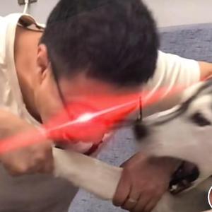 爱人错过（座机音质版）（翻自 告五人）