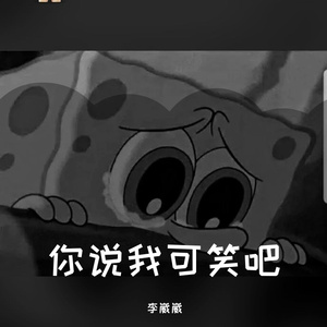 你说我可笑吧