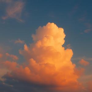 涙の跡をなぞって