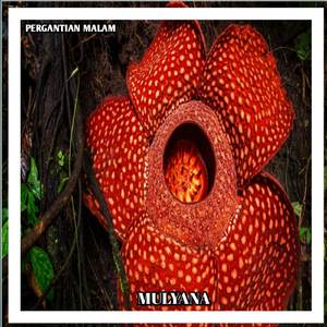 PERGANTIAN MALAM DROP