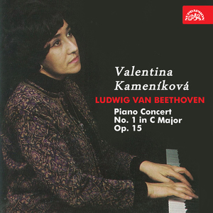 Piano Concerto No. 1 in C-Sharp Major, Op. 15:I. Allegro con brio