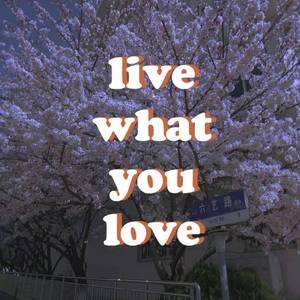 浪漫主义小红歌（翻自 姜云升）（翻自 姜云升）