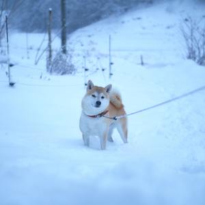 陪你到老(prod by Red killer)