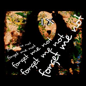 Forget Me Not