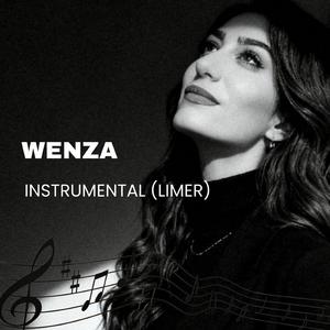 INSTRUMENTAL (LIMER)