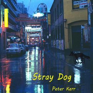 Stray Dog