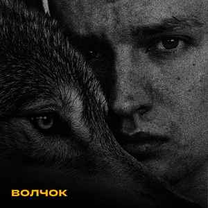 Волчок