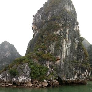 二零二零年二月二十九