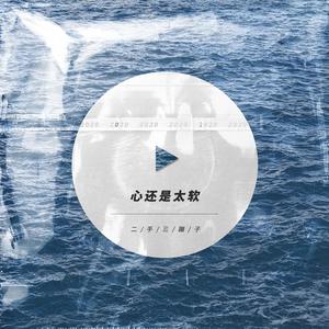 心还是太软-二手三蹦子