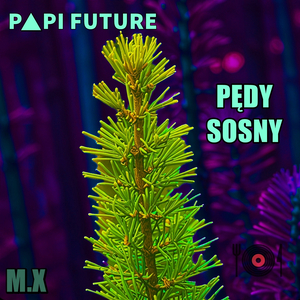 Pędy Sosny