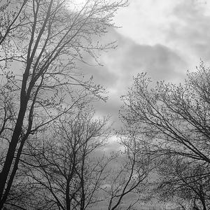 Starter (feat. Byrite)