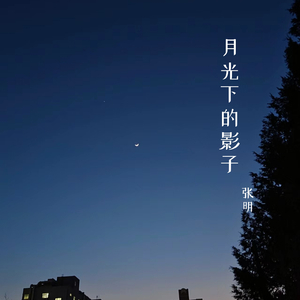 月光下的影子
