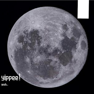 《挪威的森林》（demo）