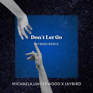 Don't Let Go (JayBird Remix)
