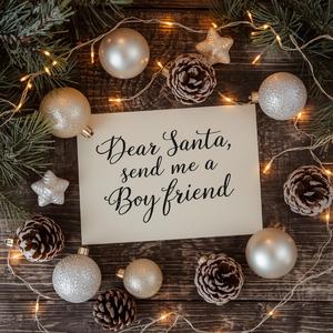 ซานต้าคะ... ขอแฟนหน่อย