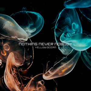 Nothing Never Nobody