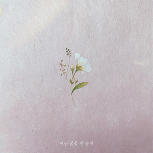 여린 풀꽃 한 송이