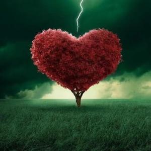 《我的心太乱》