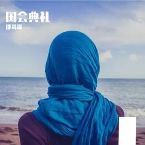 风吹麦浪DJ